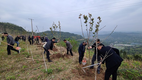 揮汗添新綠 植樹正當時.jpg