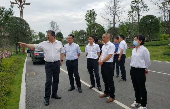 集團副總經理高竑帶隊赴天府藝術公園開展安全生產專項檢查